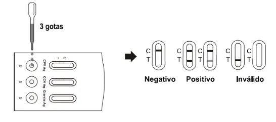 VC-PCG-110.webp