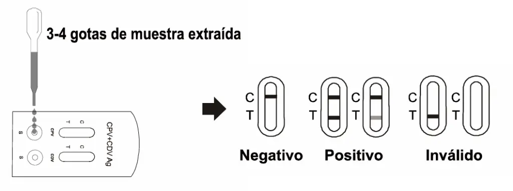 VC-PD-110.webp