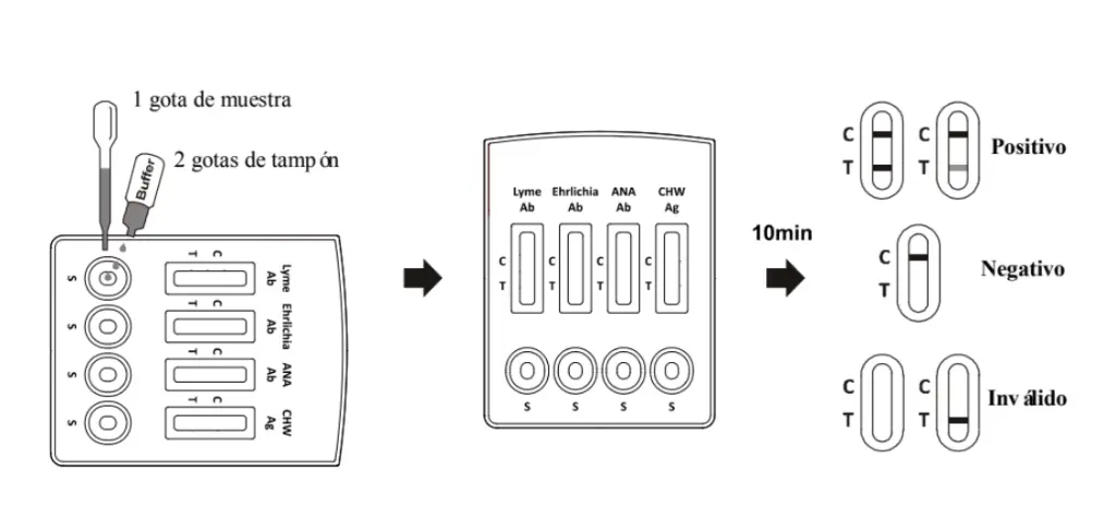 VC-ACEL-110.webp